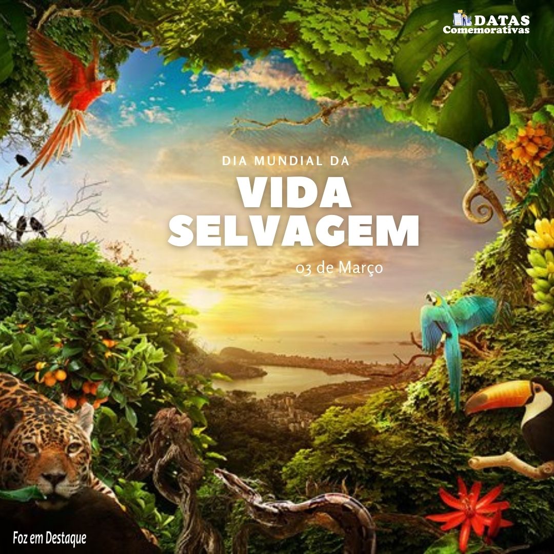 Dia Mundial da Vida Selvagem 3