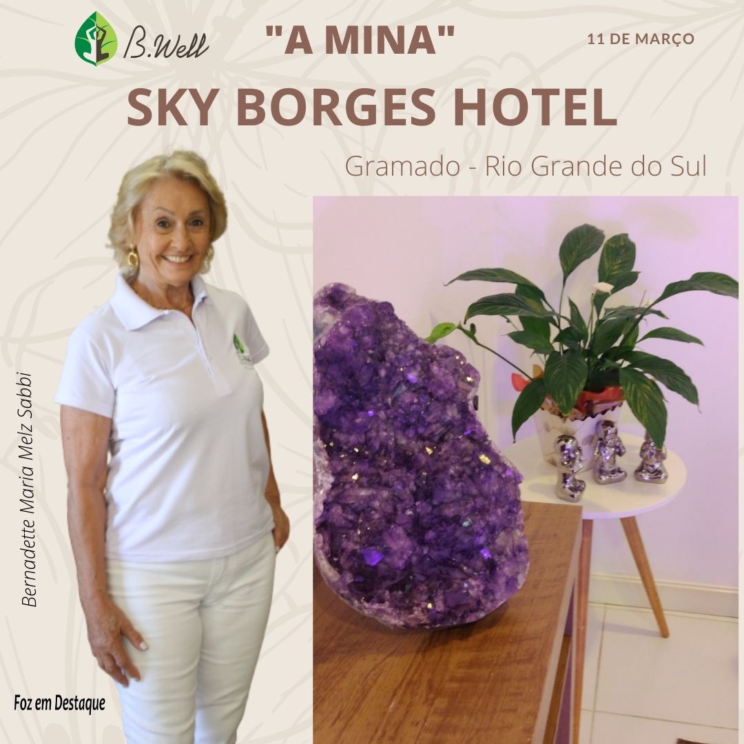 DIFERENCIAIS DA REDE DE ESPAÇOS DE BEM ESTAR B.WELL 4-14