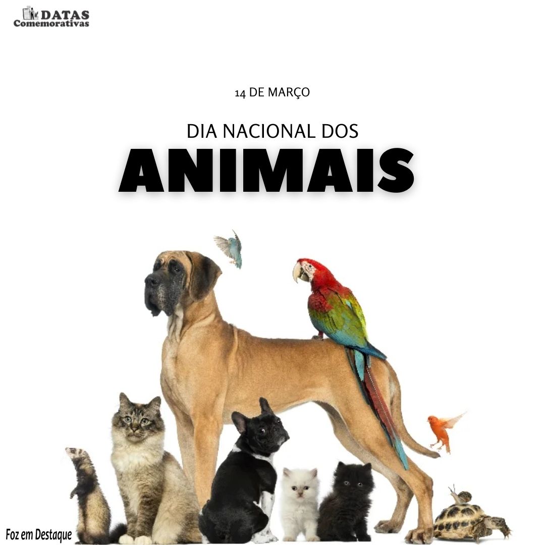 Dia Nacional dos Animais 5