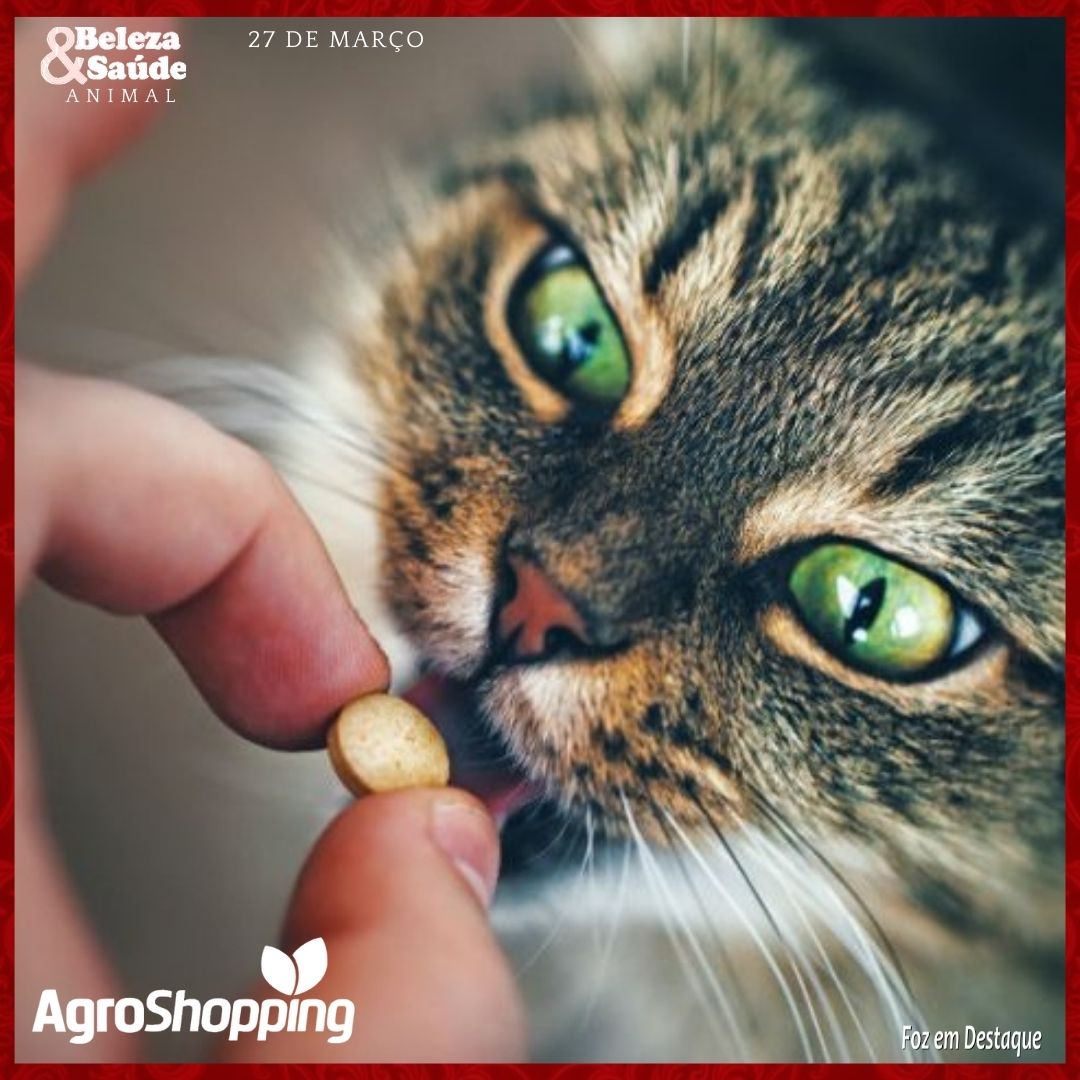 DICAS DA AGROSHOPPING PARA MEDICAR SEU GATO BS1-BLOG