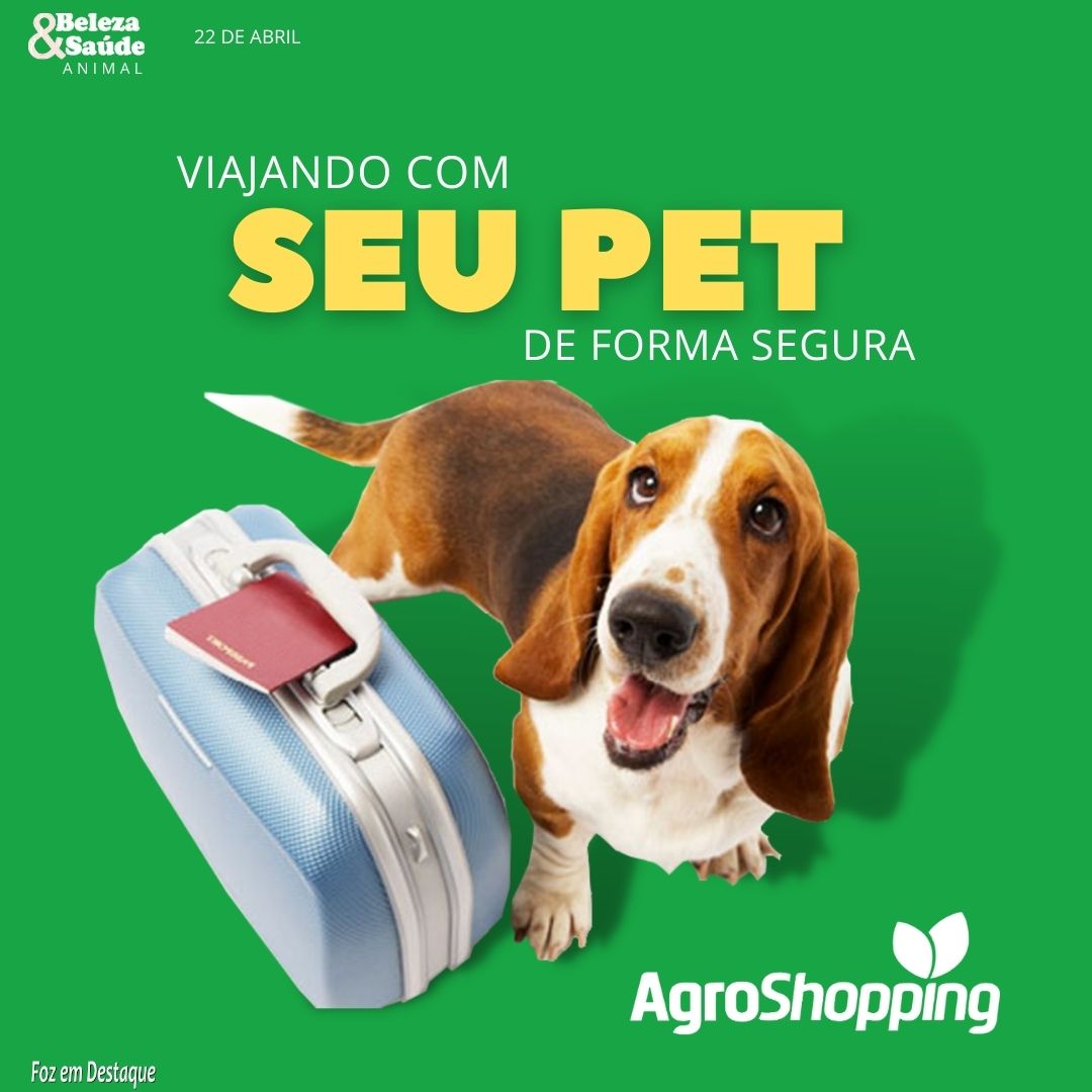 VIAJANDO COM SEU PET DE FORMA SEGURA COM A AGROSHOPPING agroshopping-blog