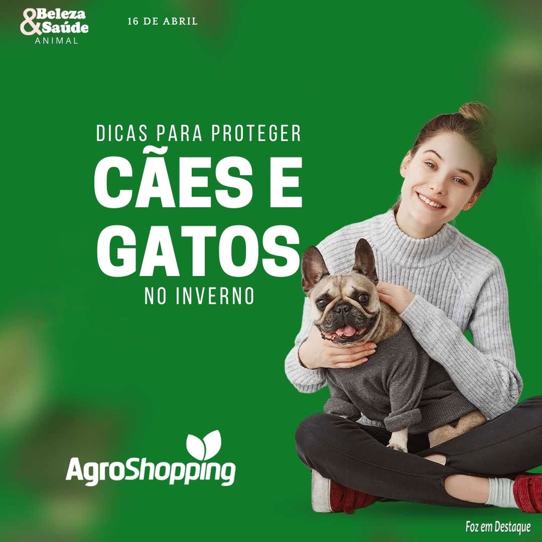 AGROSHOPPING TRAZ DICAS PARA PROTEGER CÃES E GATOS NO INVERNO bs-agro-1