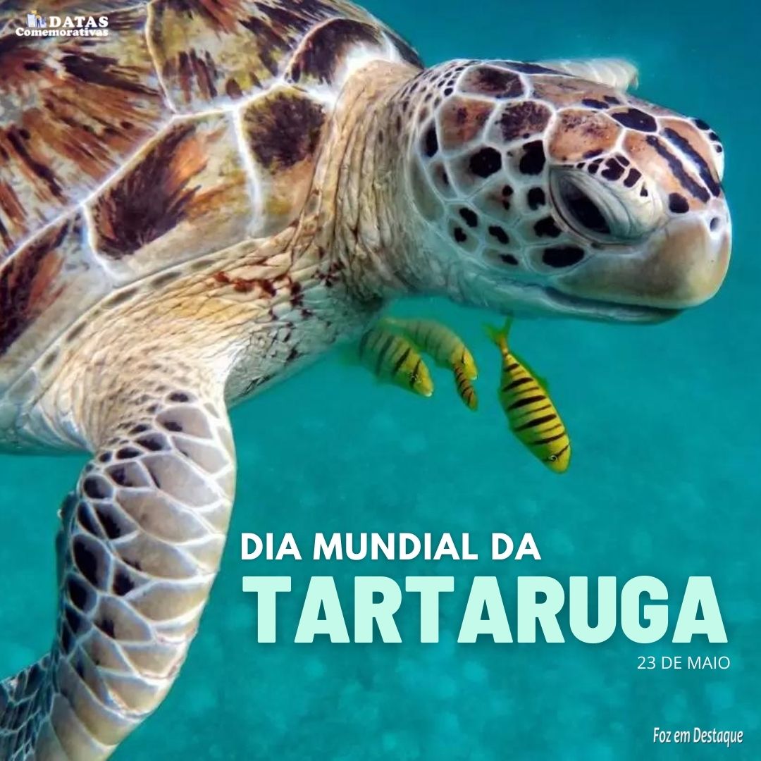 23 de Maio