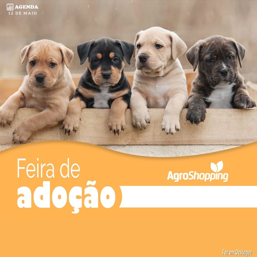 FEIRINHA DE ADOÇÃO NA AGROSHOPPING agenda-agroshop-capa
