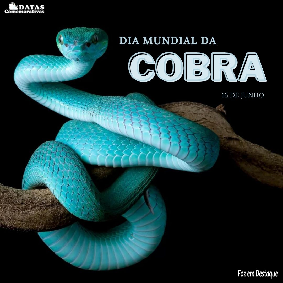 16 de Julho 16 de Julho