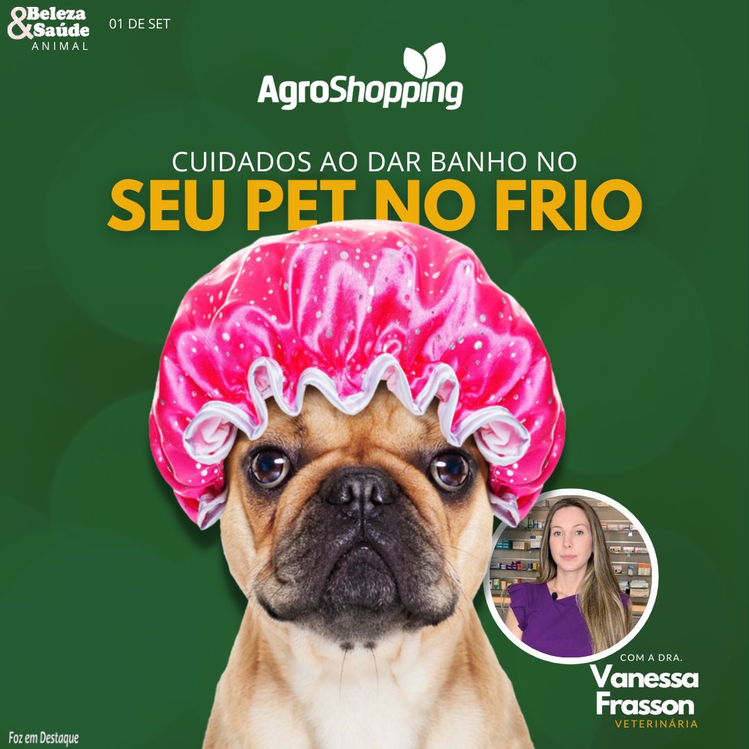 CUIDADOS AO DAR BANHO NO SEU PET NO FRIO BS-AGRO-1-1