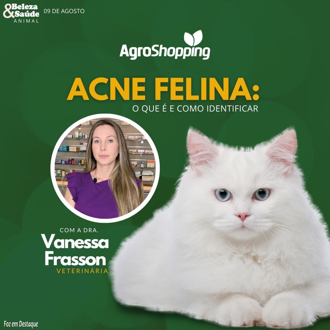 ACNE FELINA: O QUE É E COMO IDENTIFICAR bs - agro