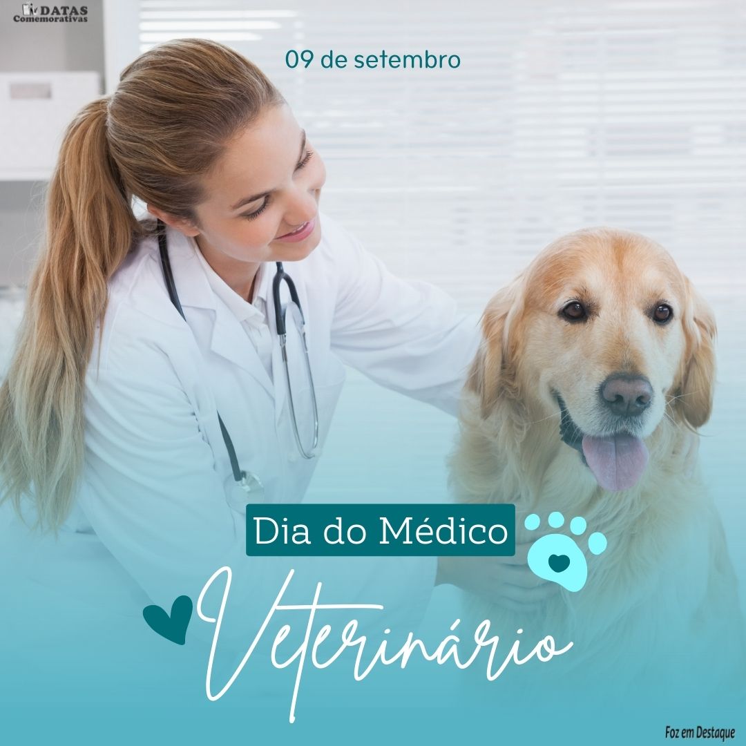 Datas Comemorativas 09 de Setembro bela-odara-1-5-1
