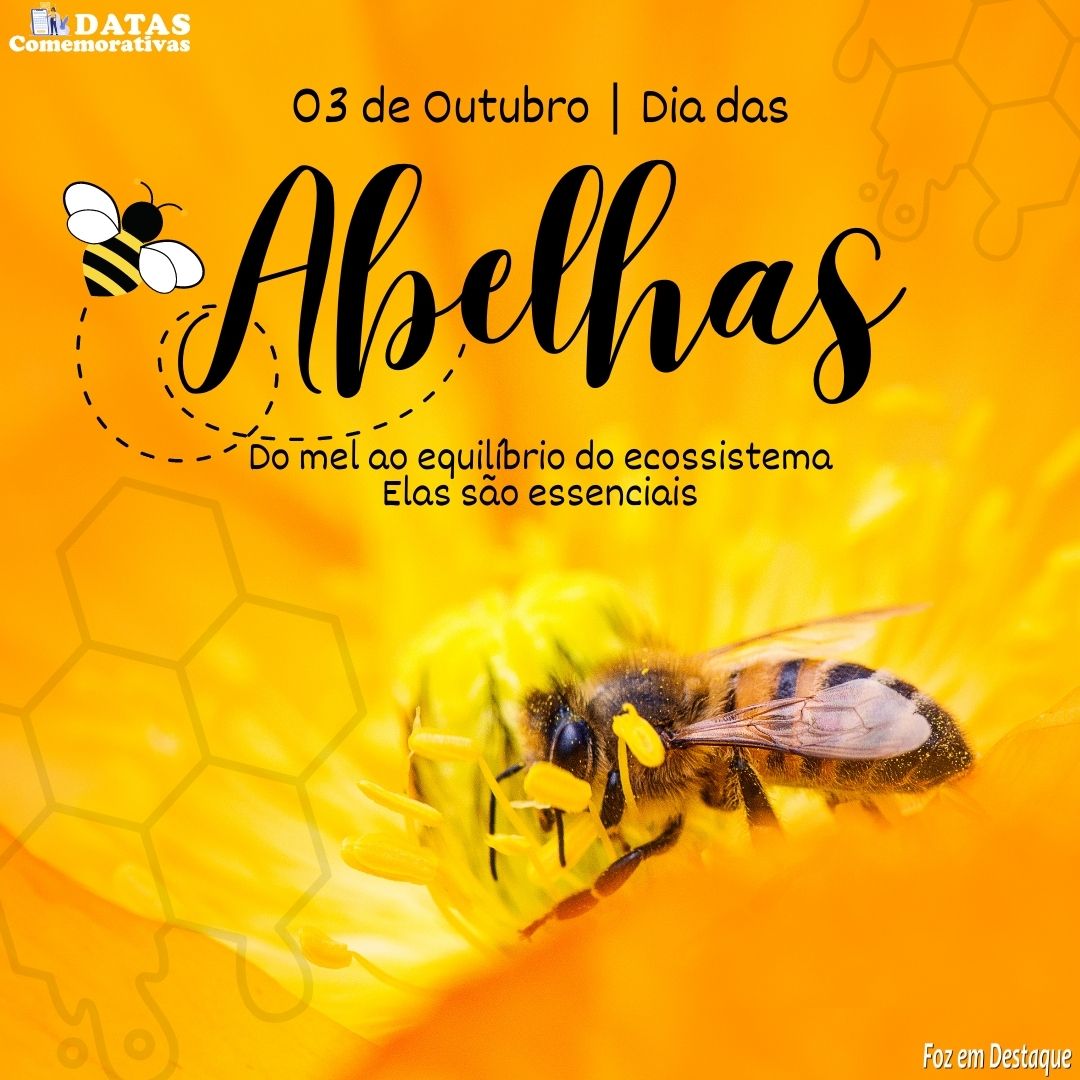 03 de Outubro - Datas Comemorativas 4-1