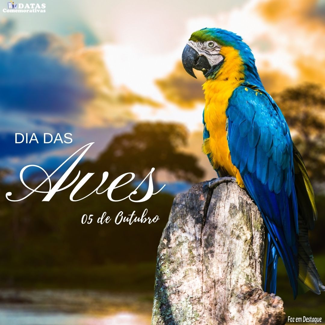 Datas Comemorativas merchan-oda-1-4-1