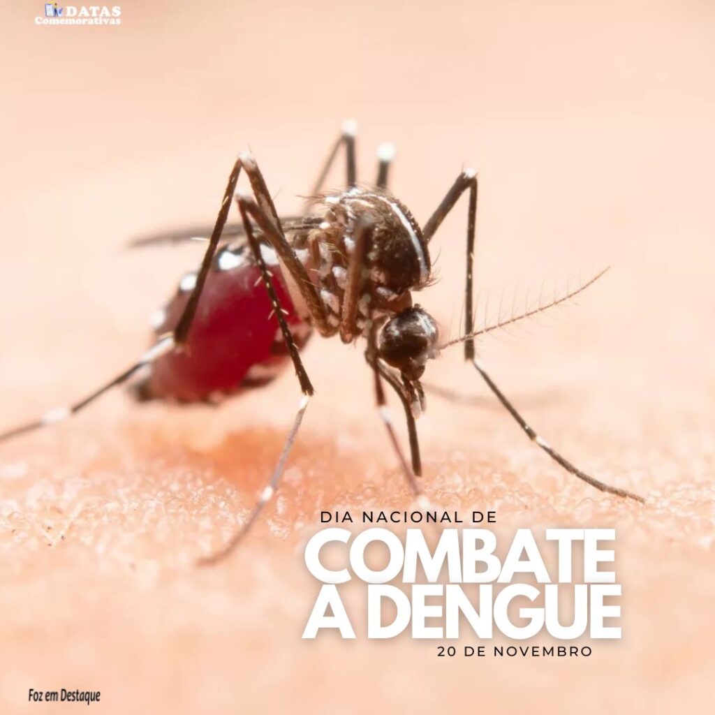 Dia Nacional de Combate a Dengue