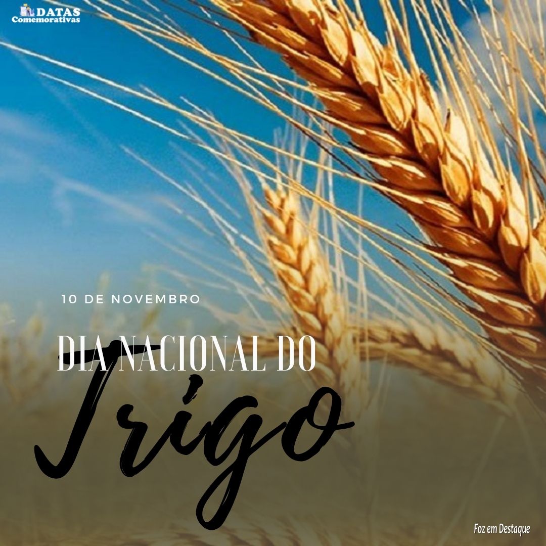 Datas Comemorativas 10-11 merchan-agro-3