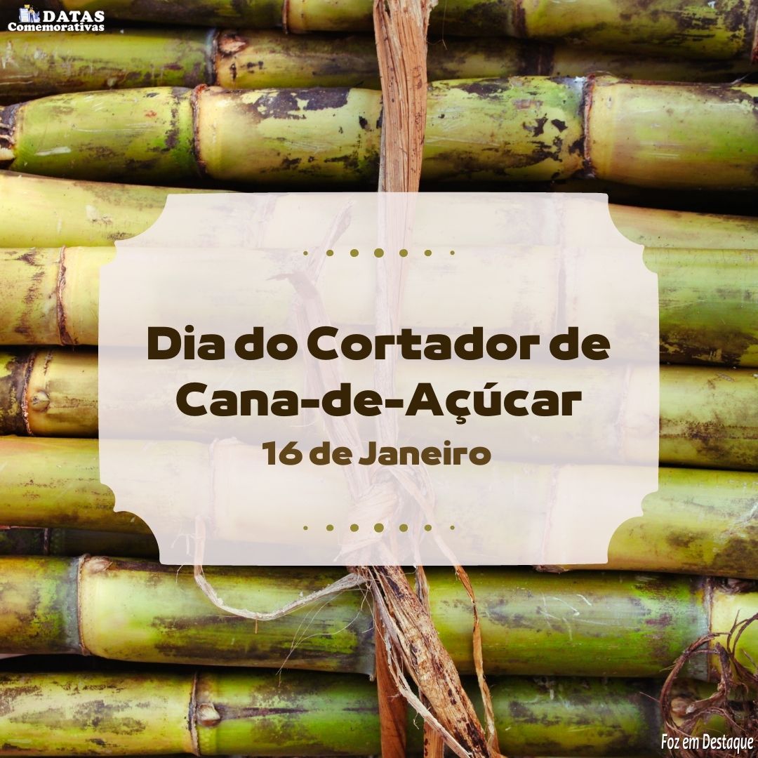 Datas Comemorativas: 16 de Janeiro 2-28