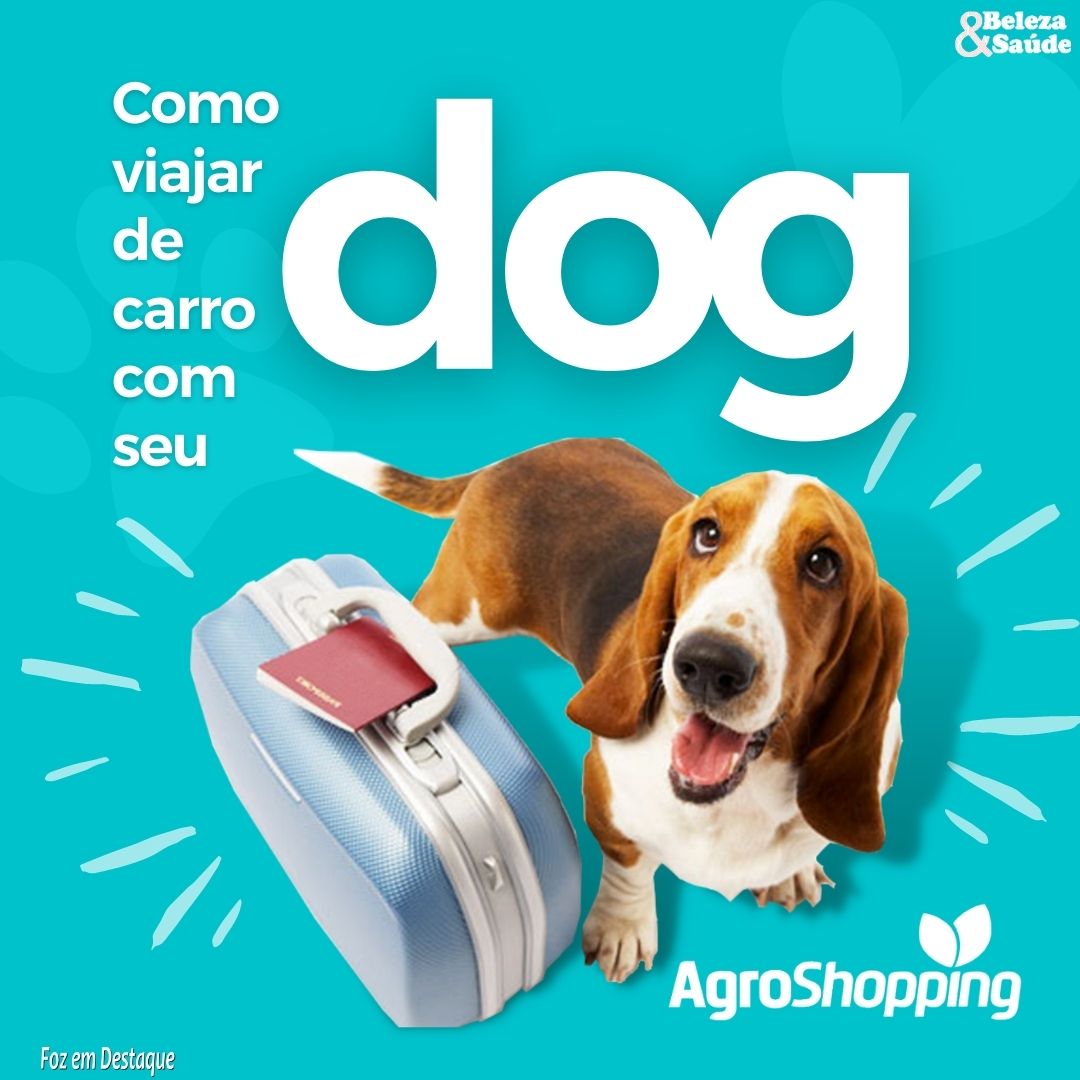 Como viajar com cachorro de carro bs-agro-1-1