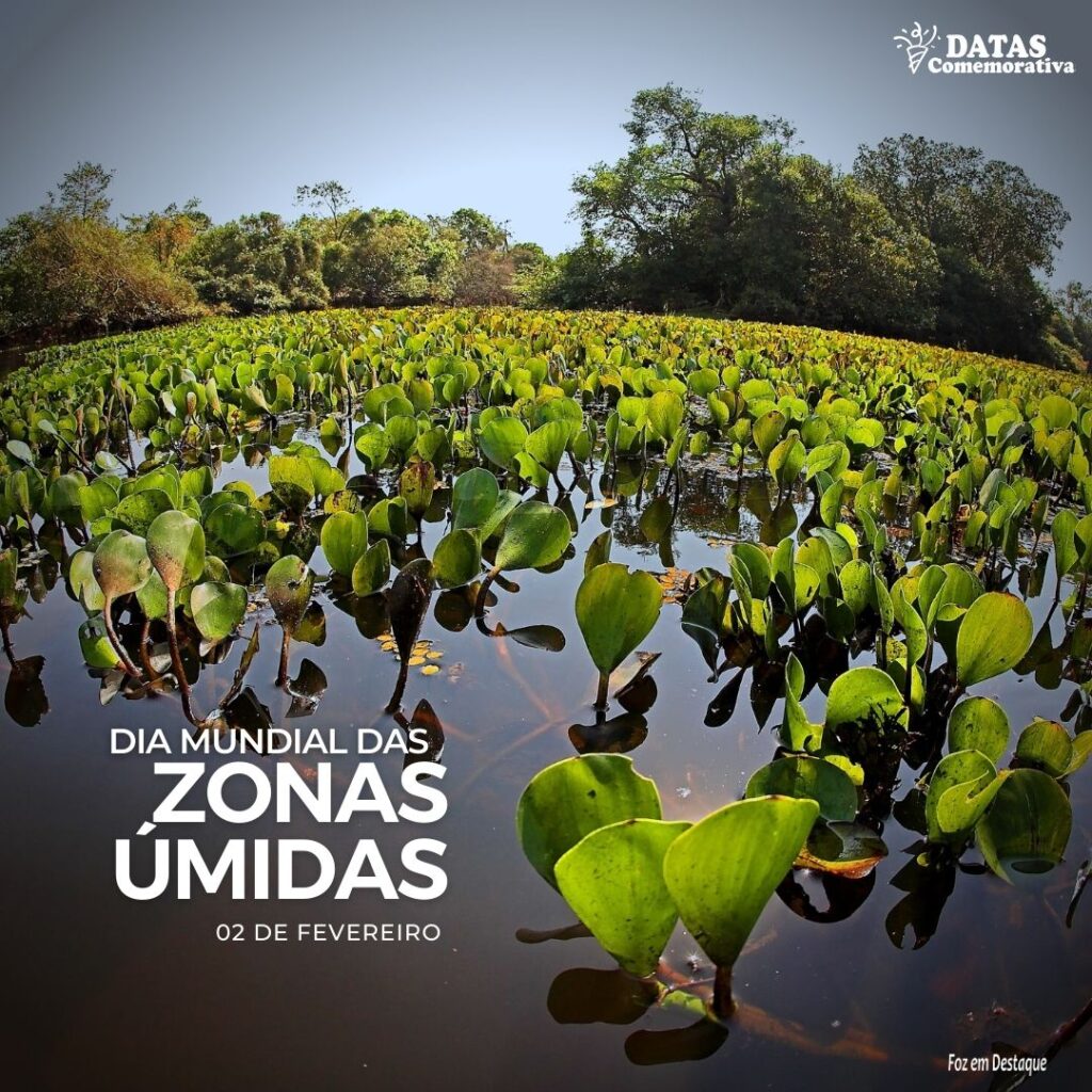 Datas Comemorativas 02 de Fevereiro