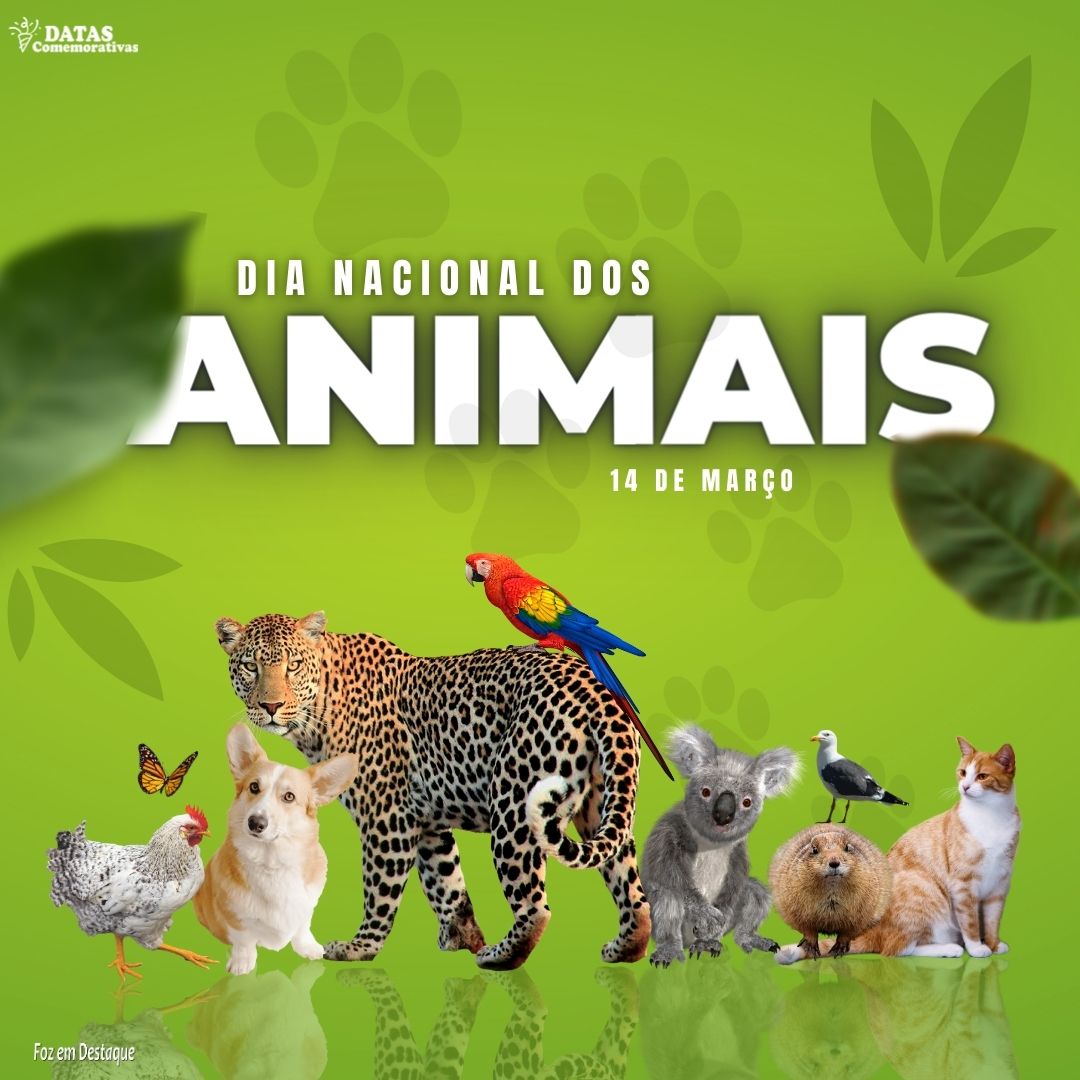 Datas Comemorativas: 14 de Março 9-10