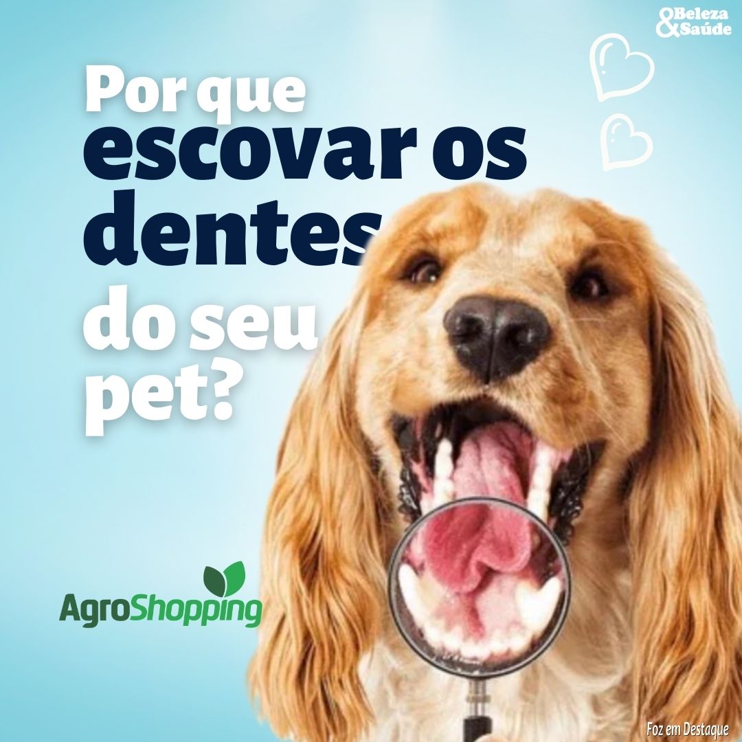 Por que escovar os dentes do seus pets? bs-agro-1