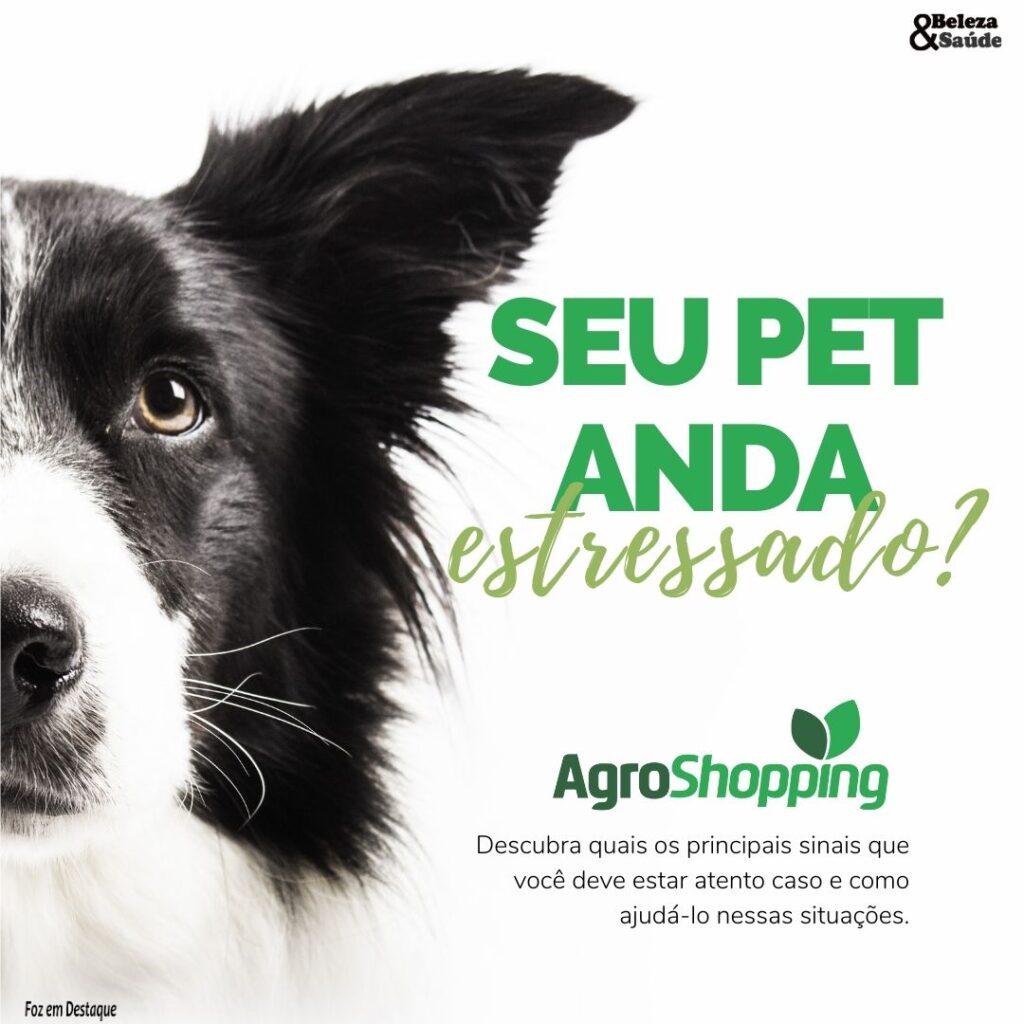 Seu pet anda estressado