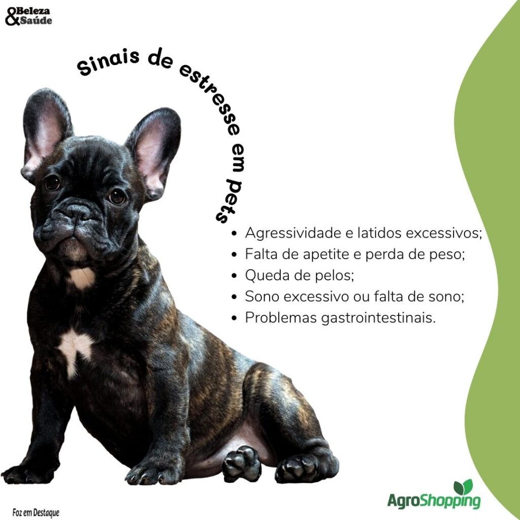 Seu pet anda estressado