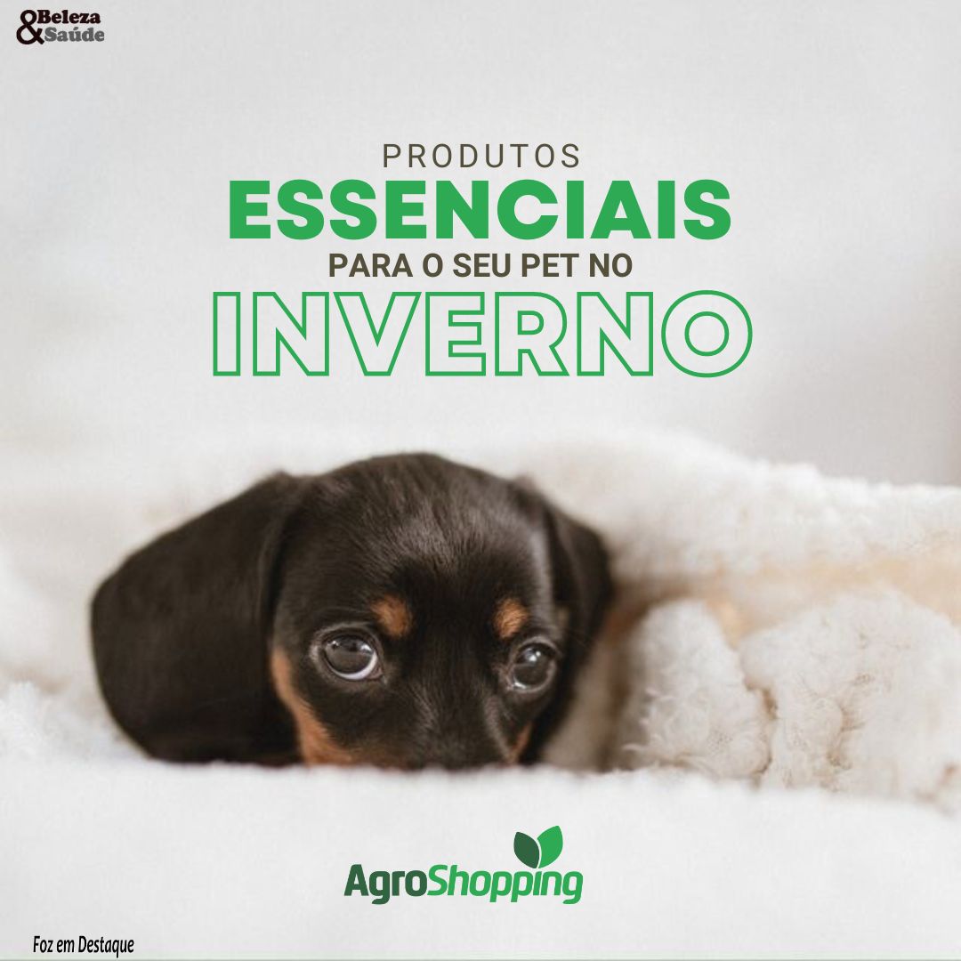 Recomendações para proteger seu pet no frio bs-agro-1-1