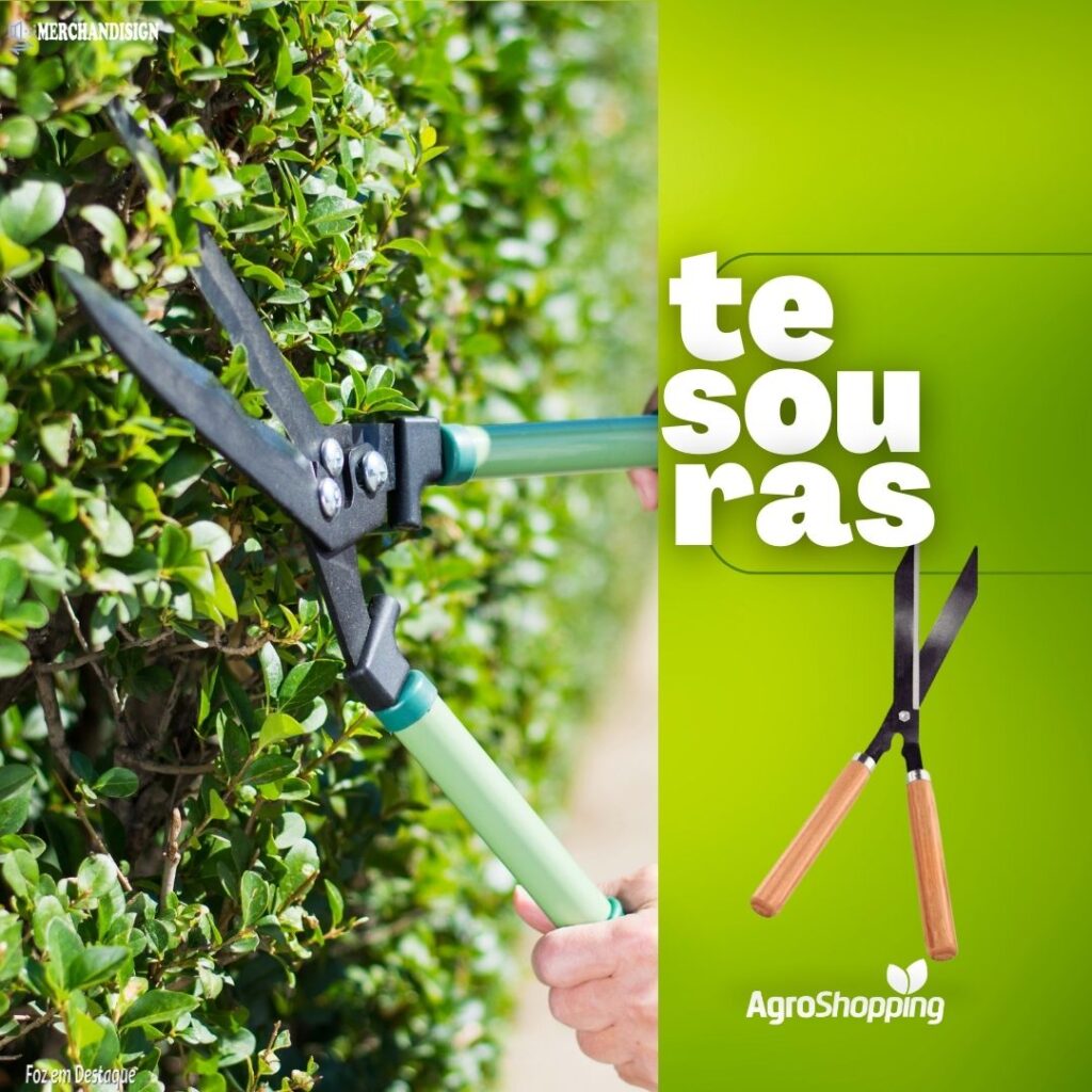 5 produtos de jardinagem para o inverno