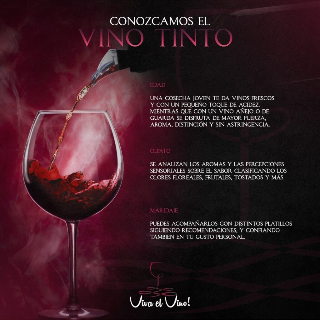 VIVA EL VINO CIUDADDELESTE 2023 - OTTOBIANO