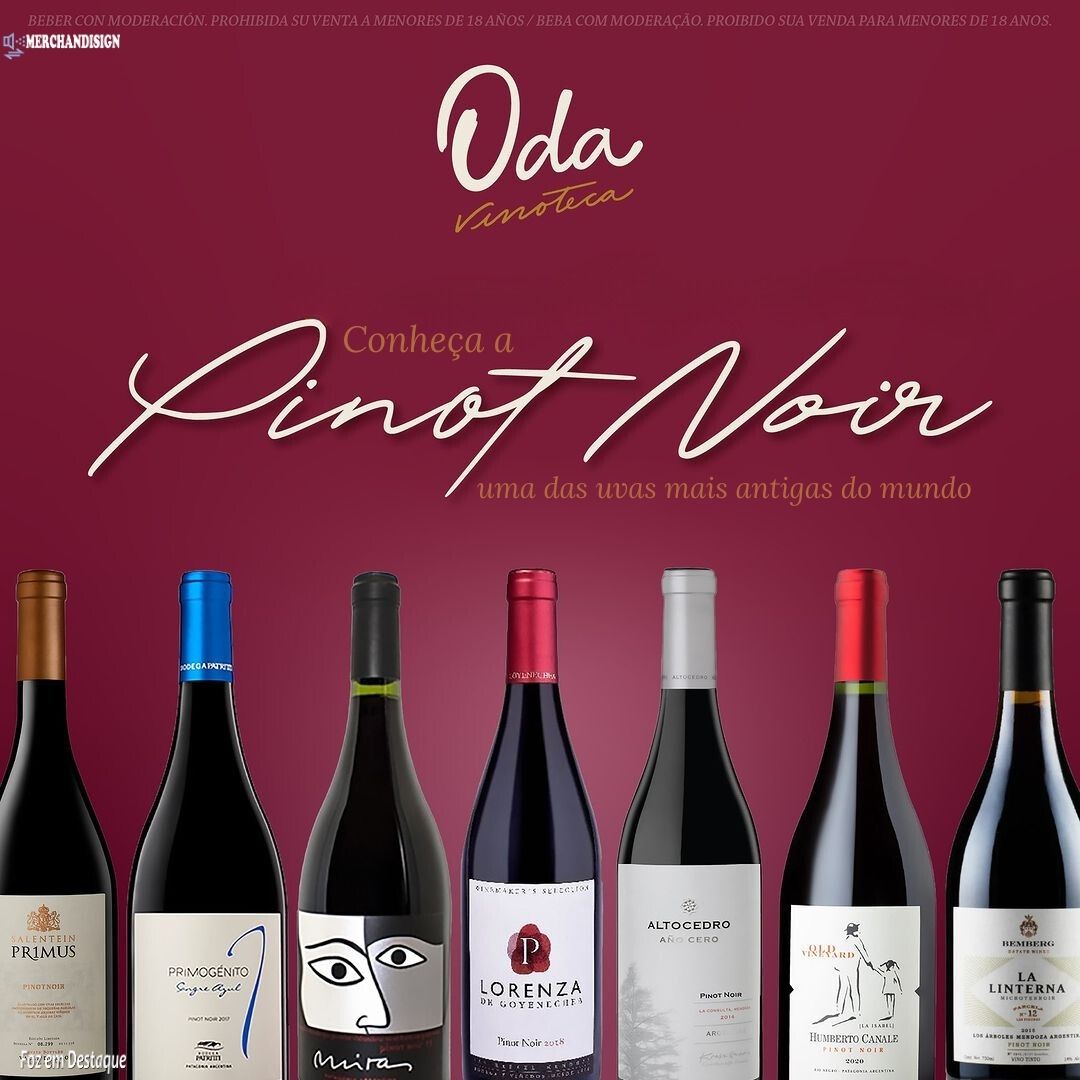 Pinot Noir merchan-oda-1
