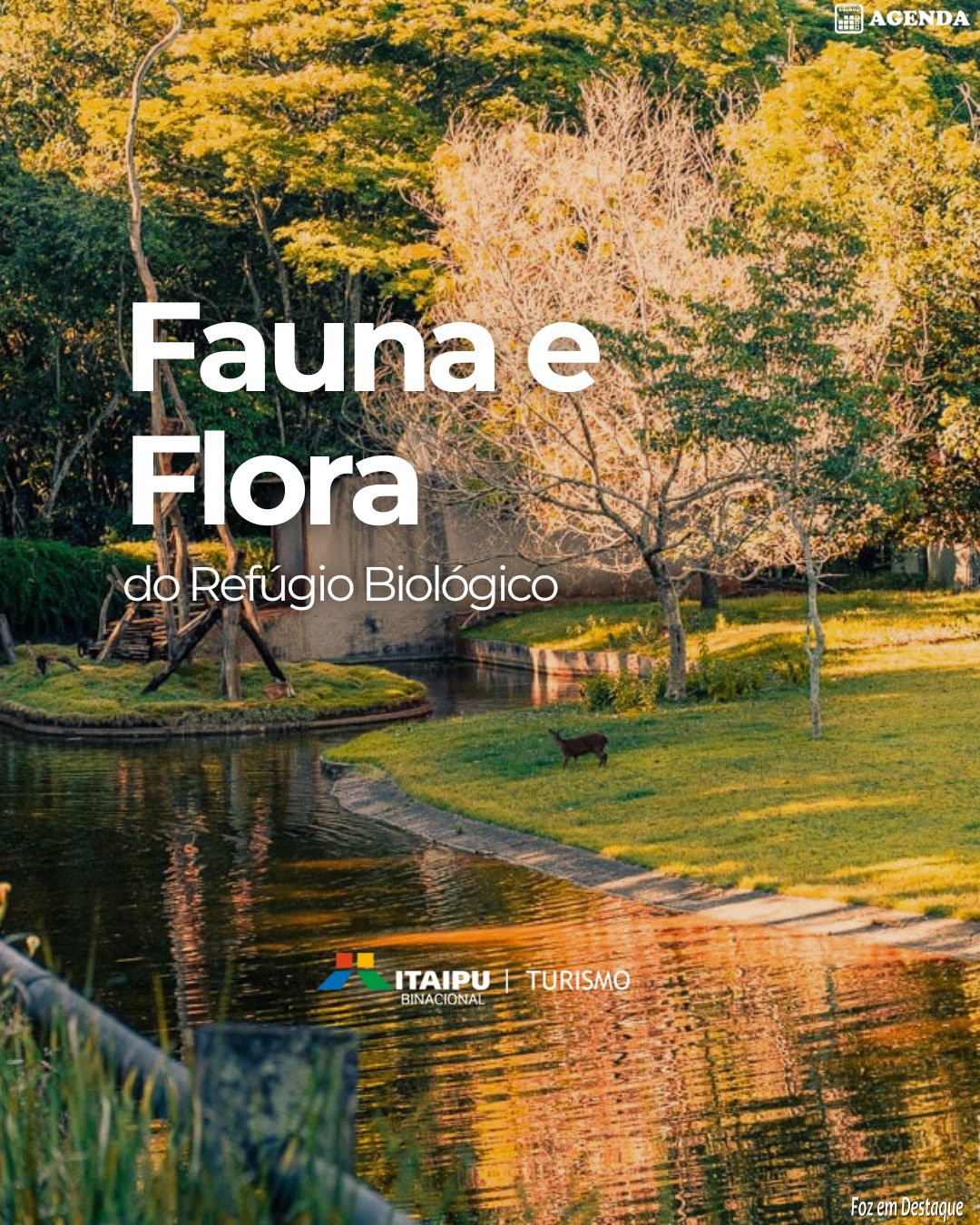 Fauna e Flora do Refúgio Biológico agenda-itaipu