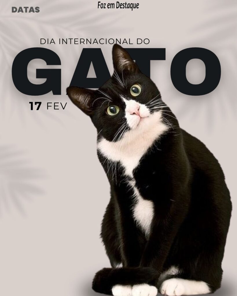 Datas 17 de Fevereiro 2024 - Foz em Destaque - o Dia Mundial do Gato