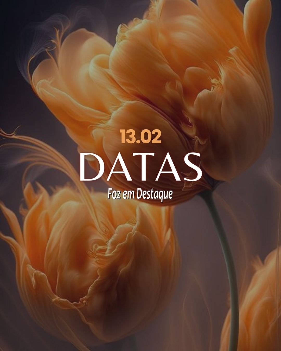 Datas 13 de Fevereiro 2024 5-14