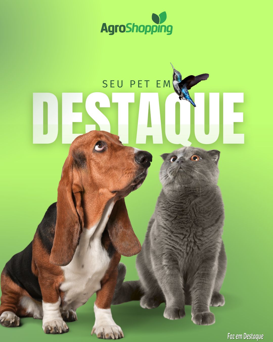 Seu Pet em destaque! agenda-agro