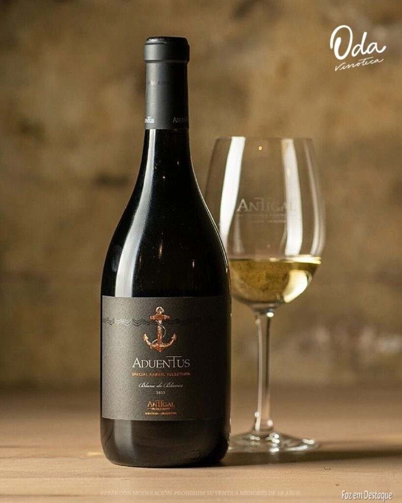 Blanc de Blancs Edição Verão