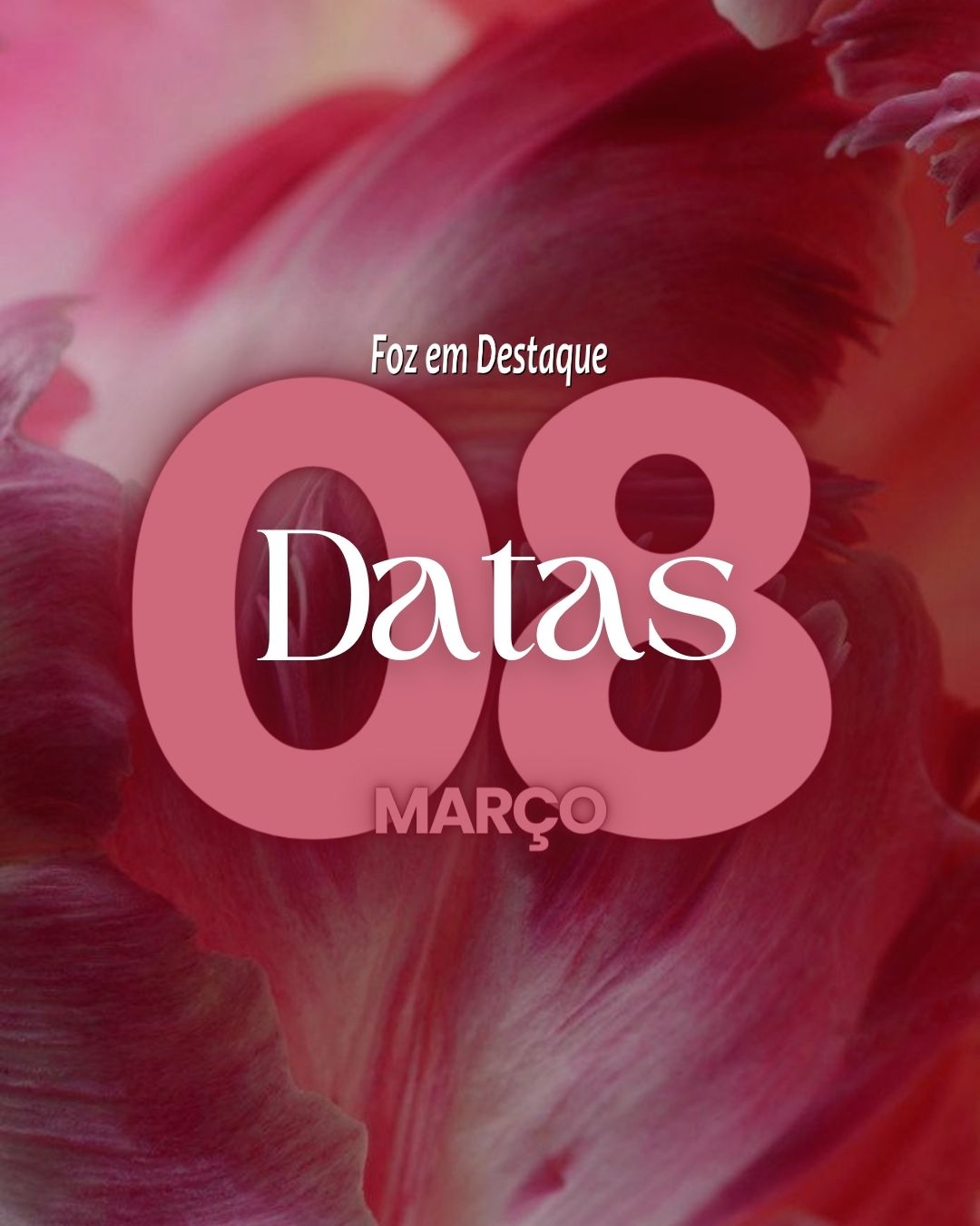 Datas 08 de Março 2024 Datas 08 de Março 2024 - Foz em Destaque - Dia Interancional da Mulher