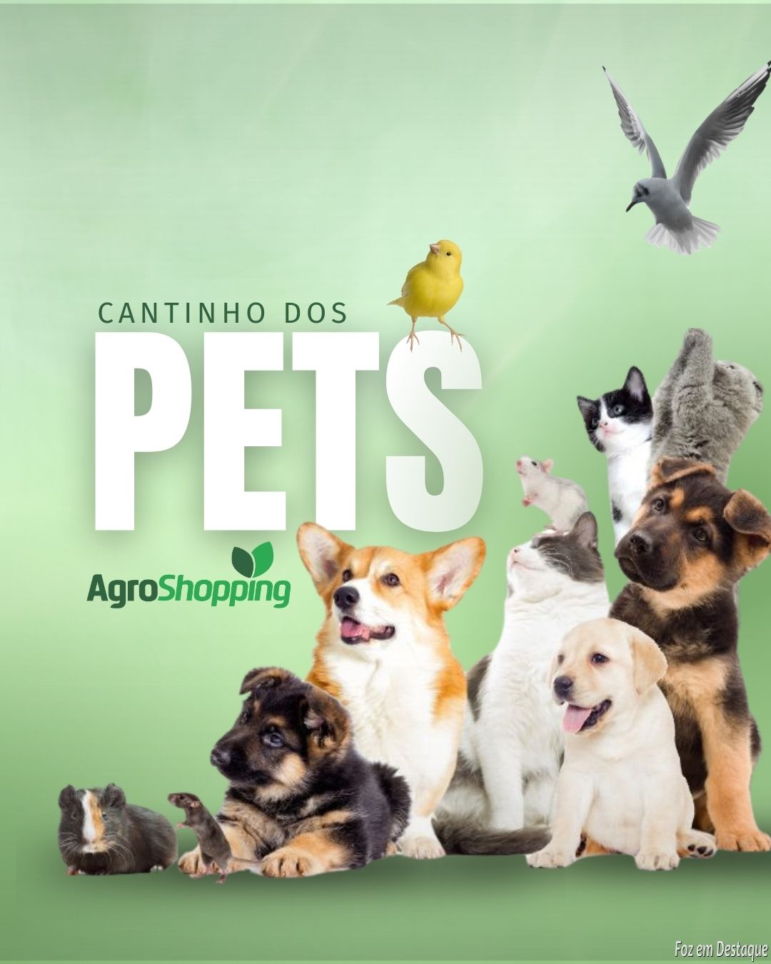 Cantinho dos Pets MERCHAN-AGRO
