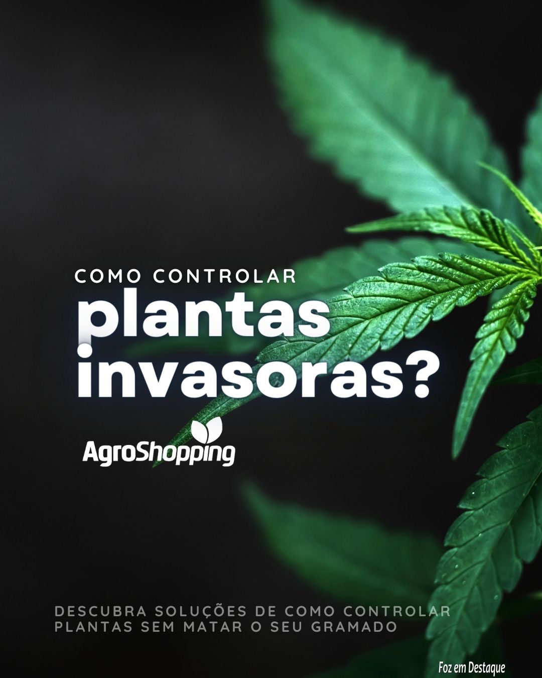 Como controlar plantas invasoras? merchan-agro-2