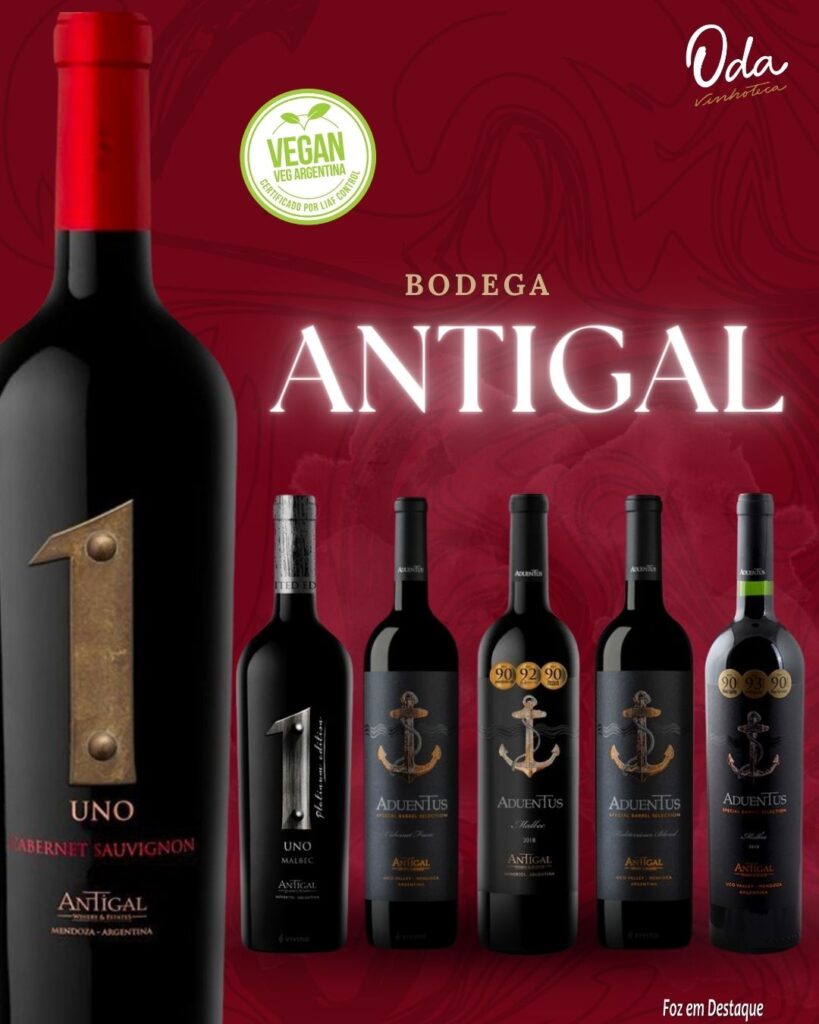Vinhos Veganos