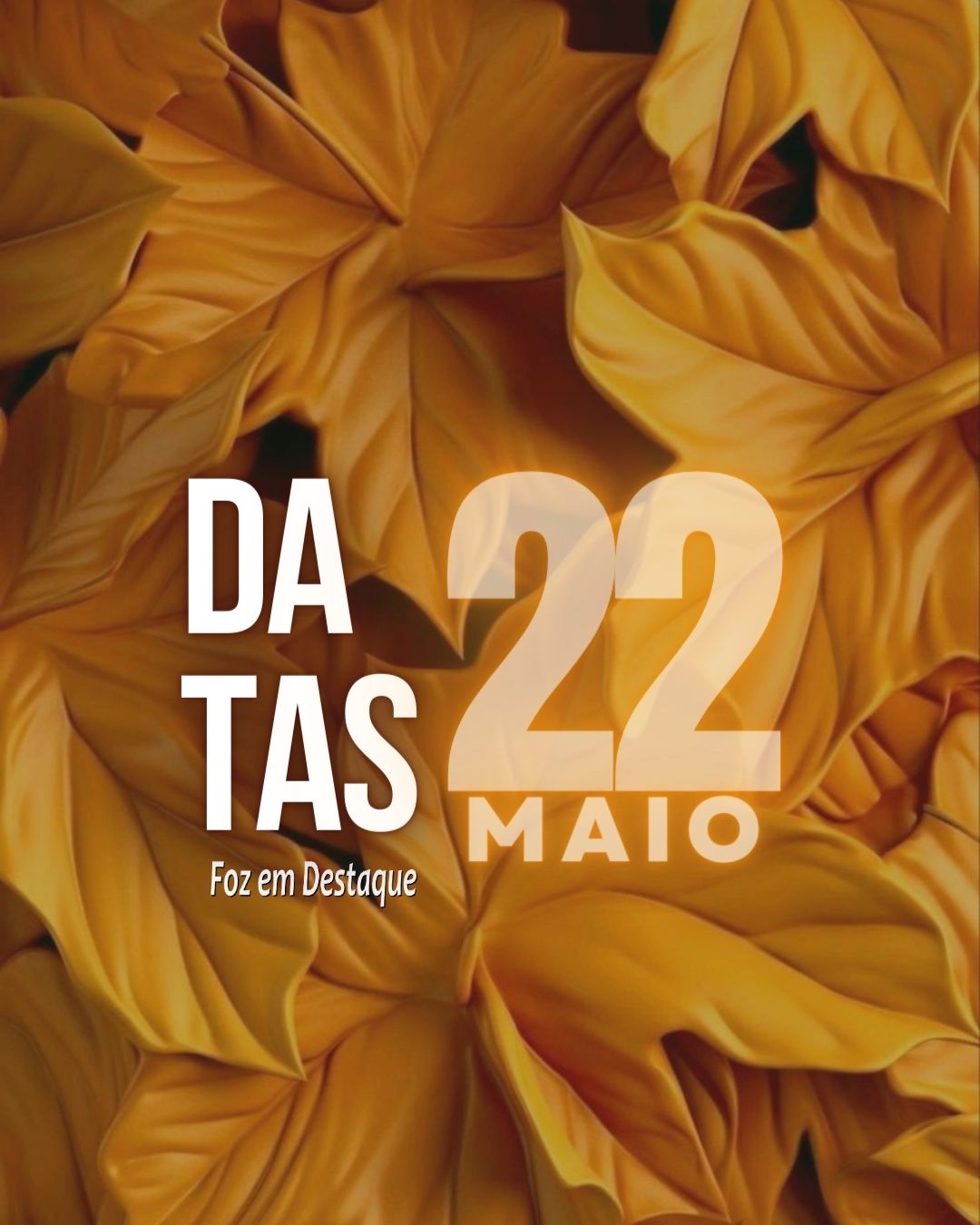 Datas 22 de Maio 2024 Dia do Abraço - Dia do Apicultor - Dia Internacional da Biodiversidade
