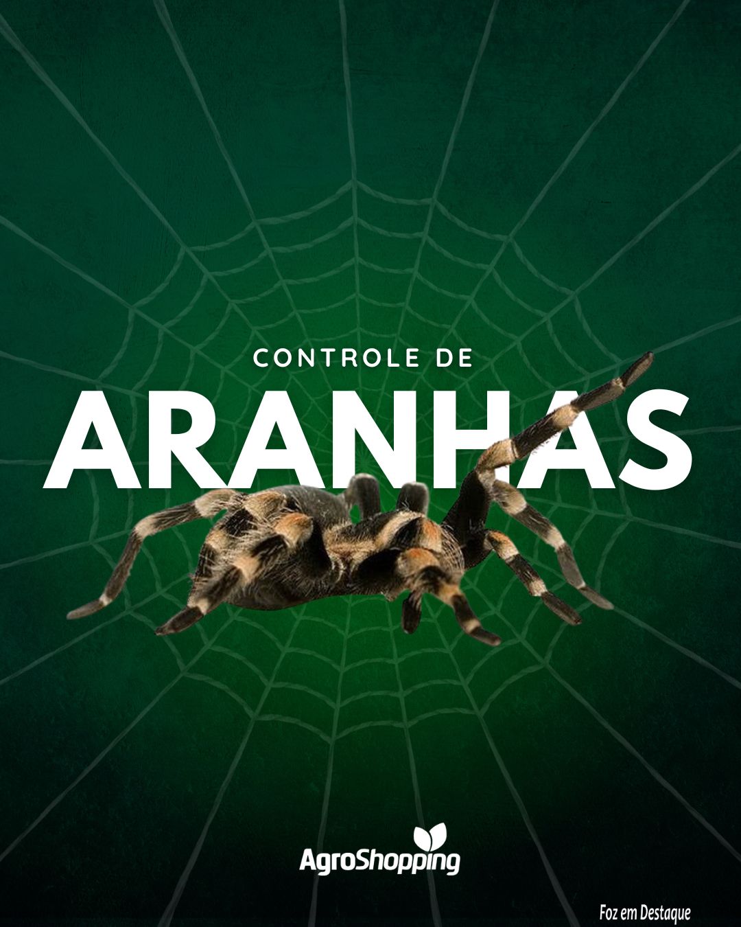 Controle de Aranhas com a AgroShopping merchan-agro-7