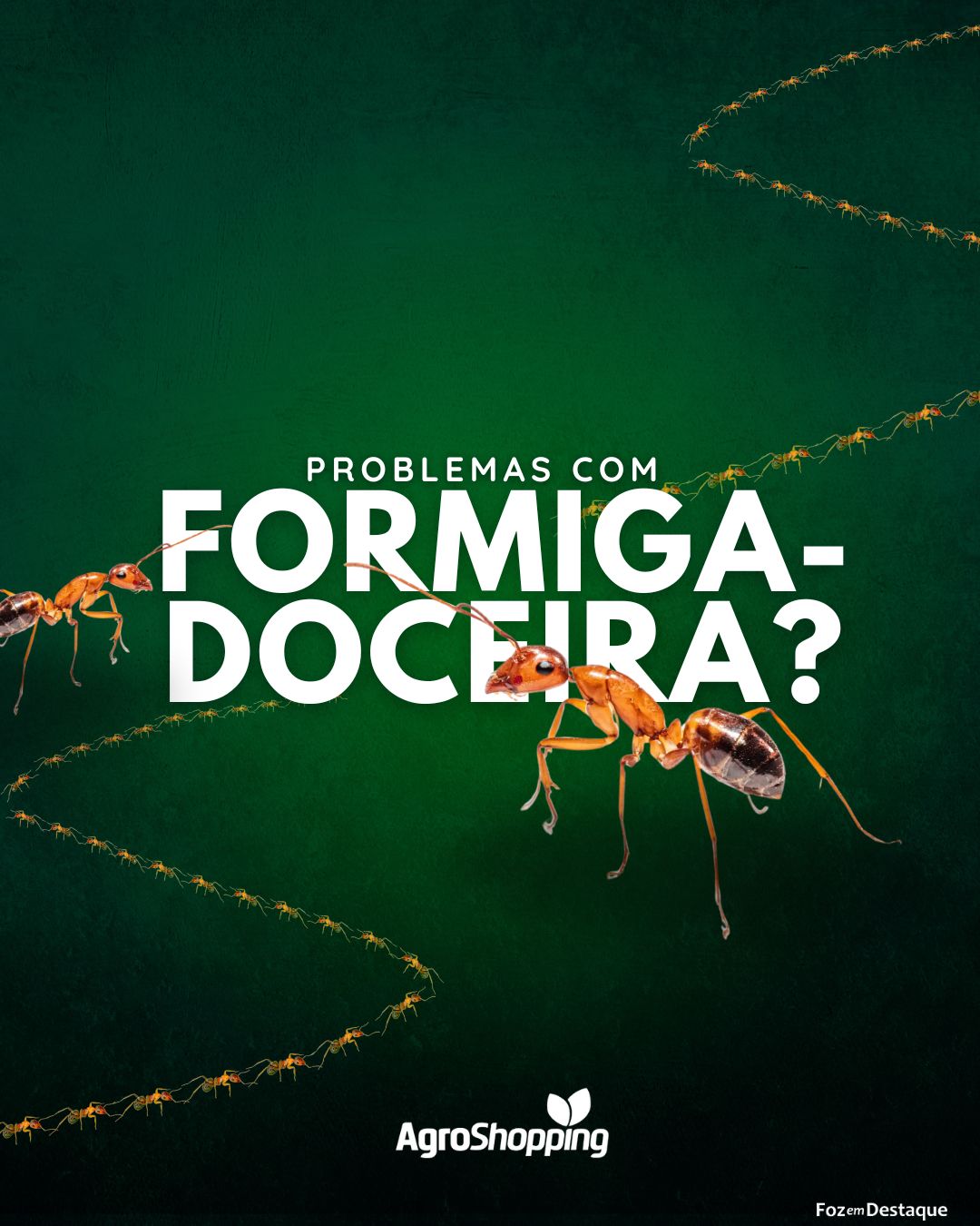 Problemas com formiga-doceira? merchan-agro-8