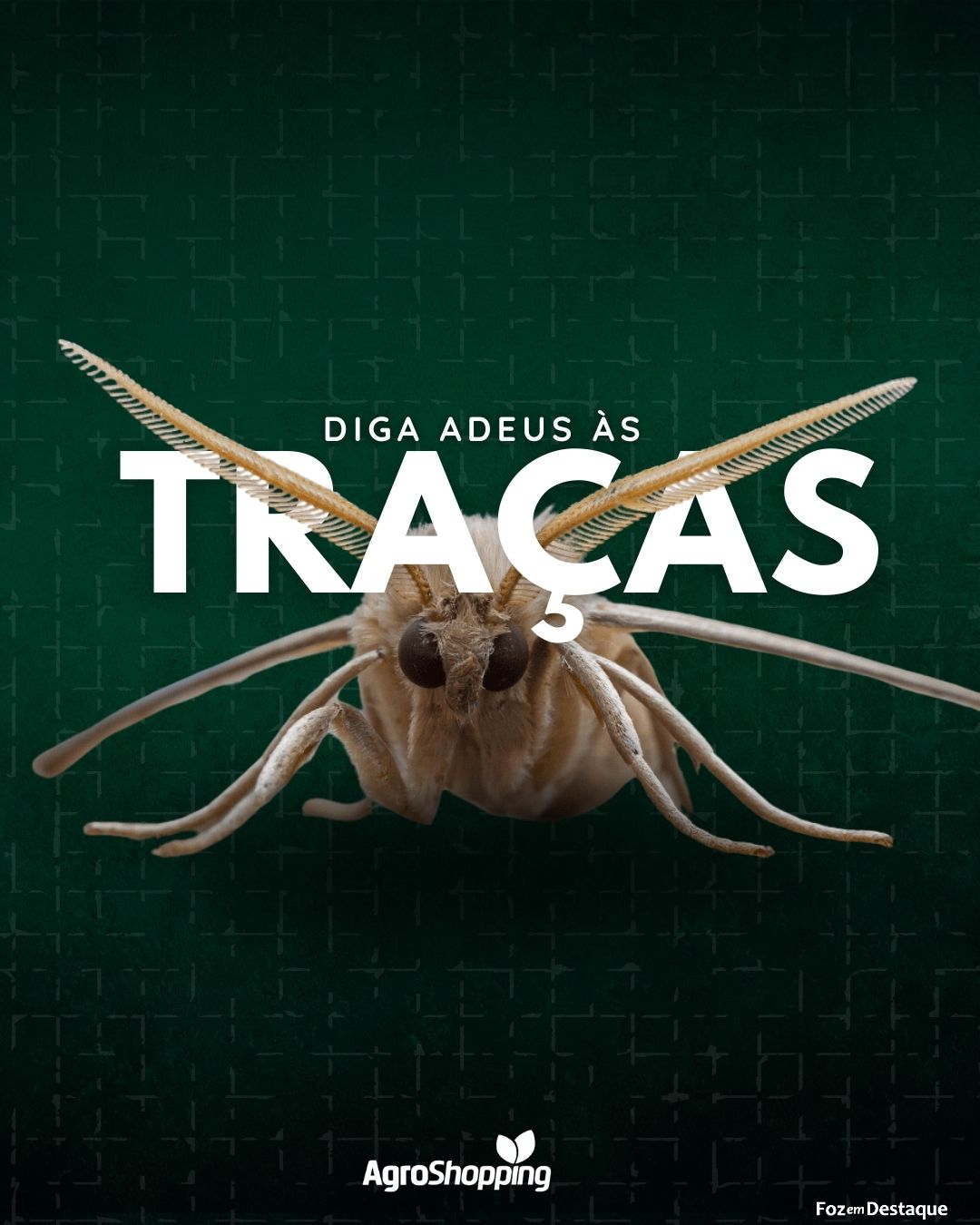 Diga adeus às Traças com a AgroShopping merchan-agro