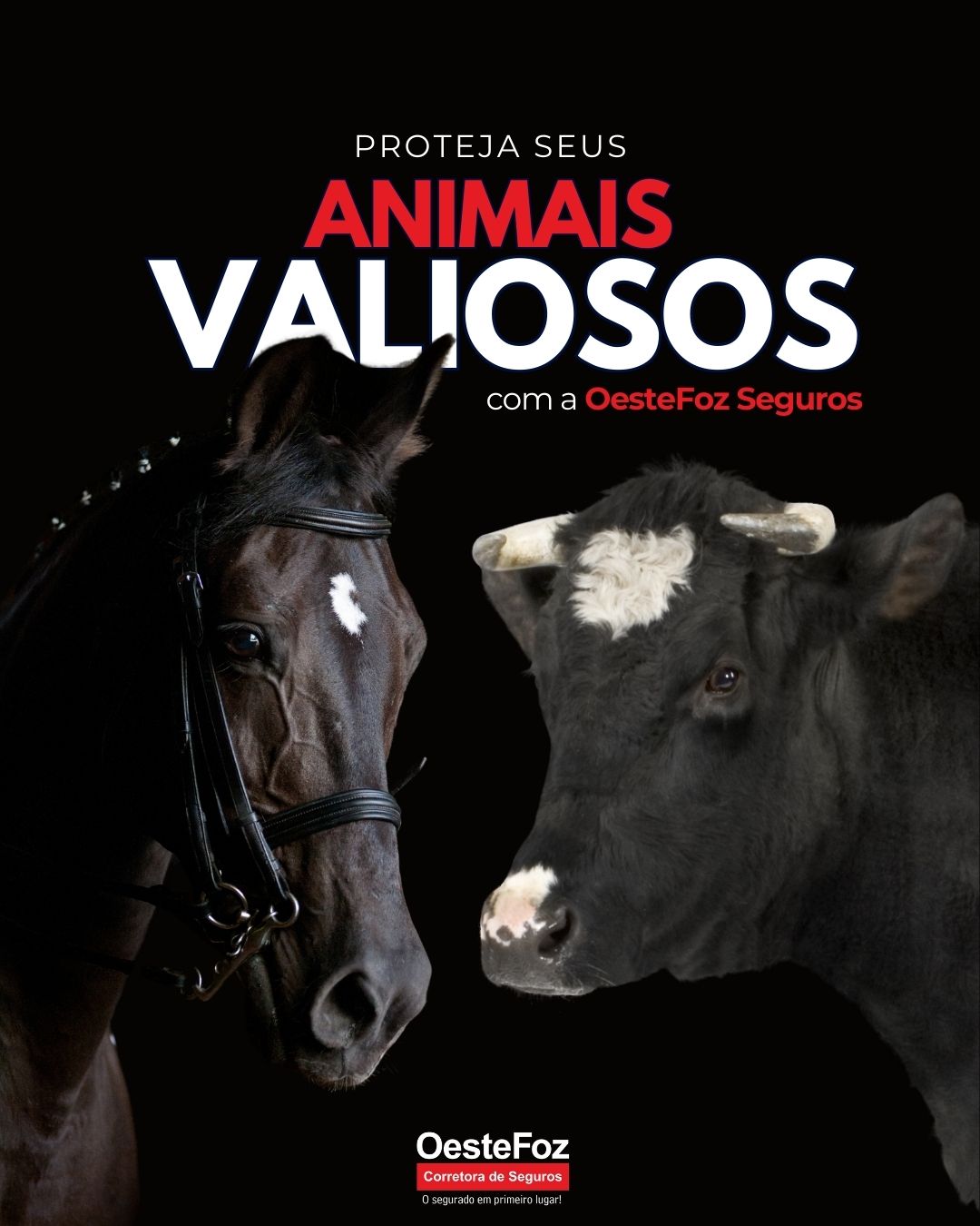 Proteja Seus Valiosos Animais com a OesteFoz Seguros merchan - oestefoz - SITE