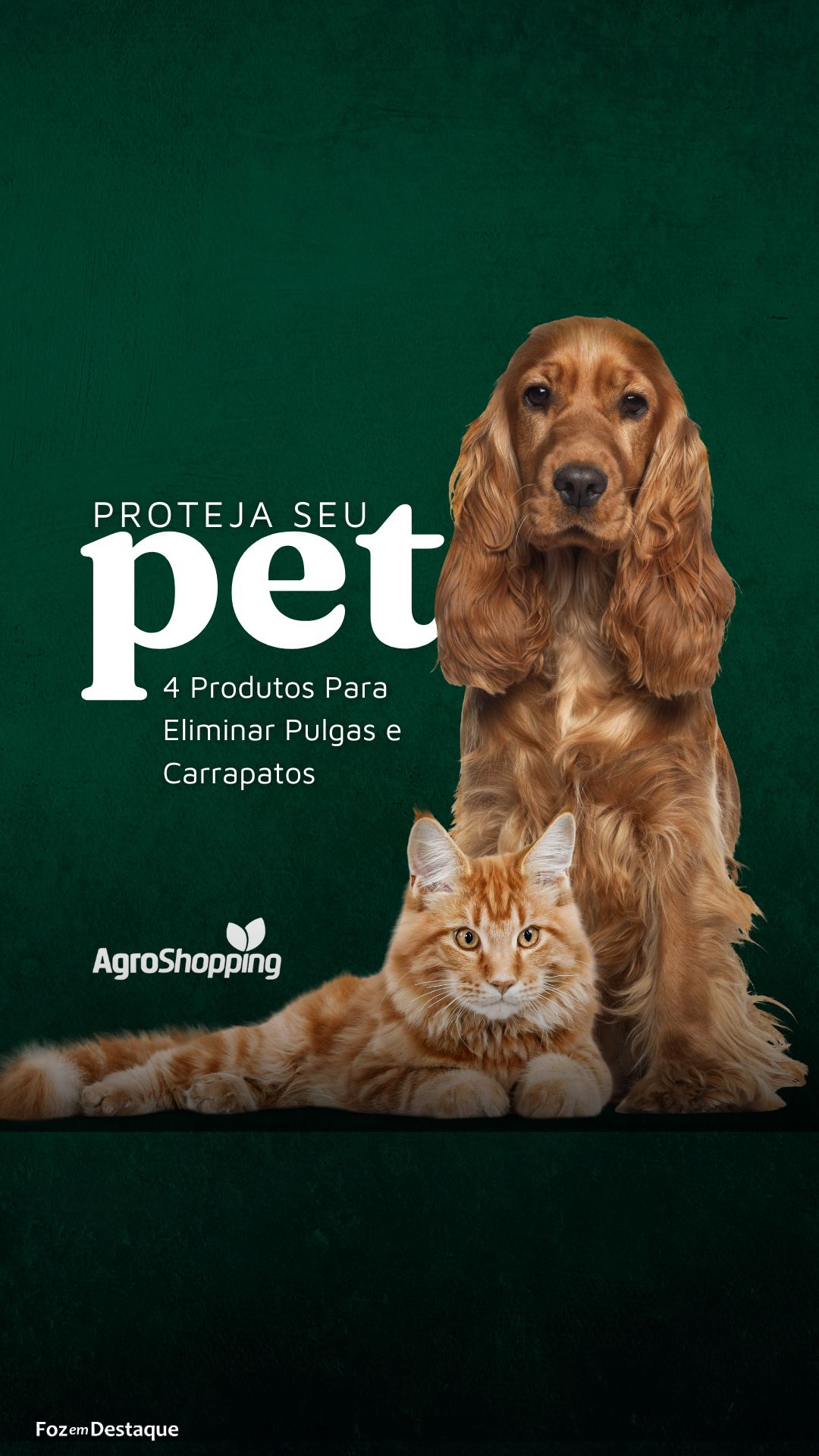 agro (5)