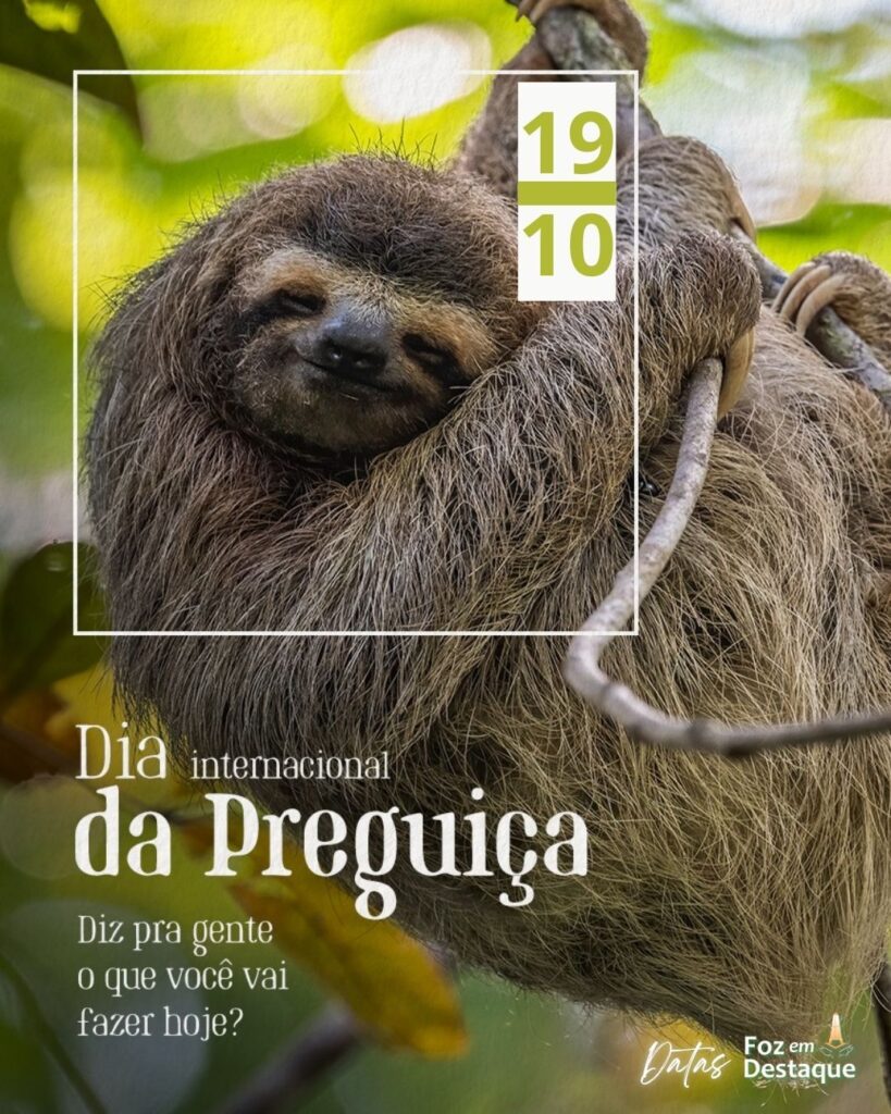 Dia Internacional do Bicho-Preguiça
Datas 19 de outubro 2024 Foz em Destaque