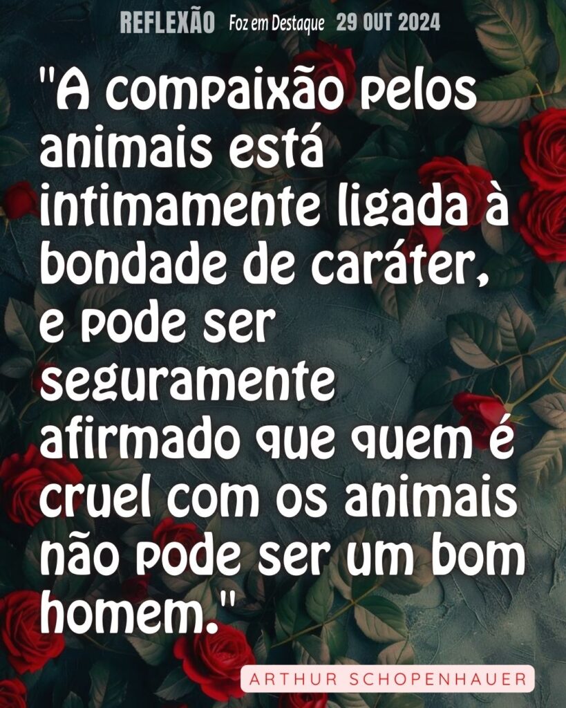 "A compaixão pelos animais está intimamente ligada à bondade de caráter, e pode ser seguramente afirmado que quem é cruel com os animais não pode ser um bom homem." Arthur Schopenhauer
Reflexão 29 de outubro 2024 Foz em Destaque - "Sua vida mais divertida!!!"
