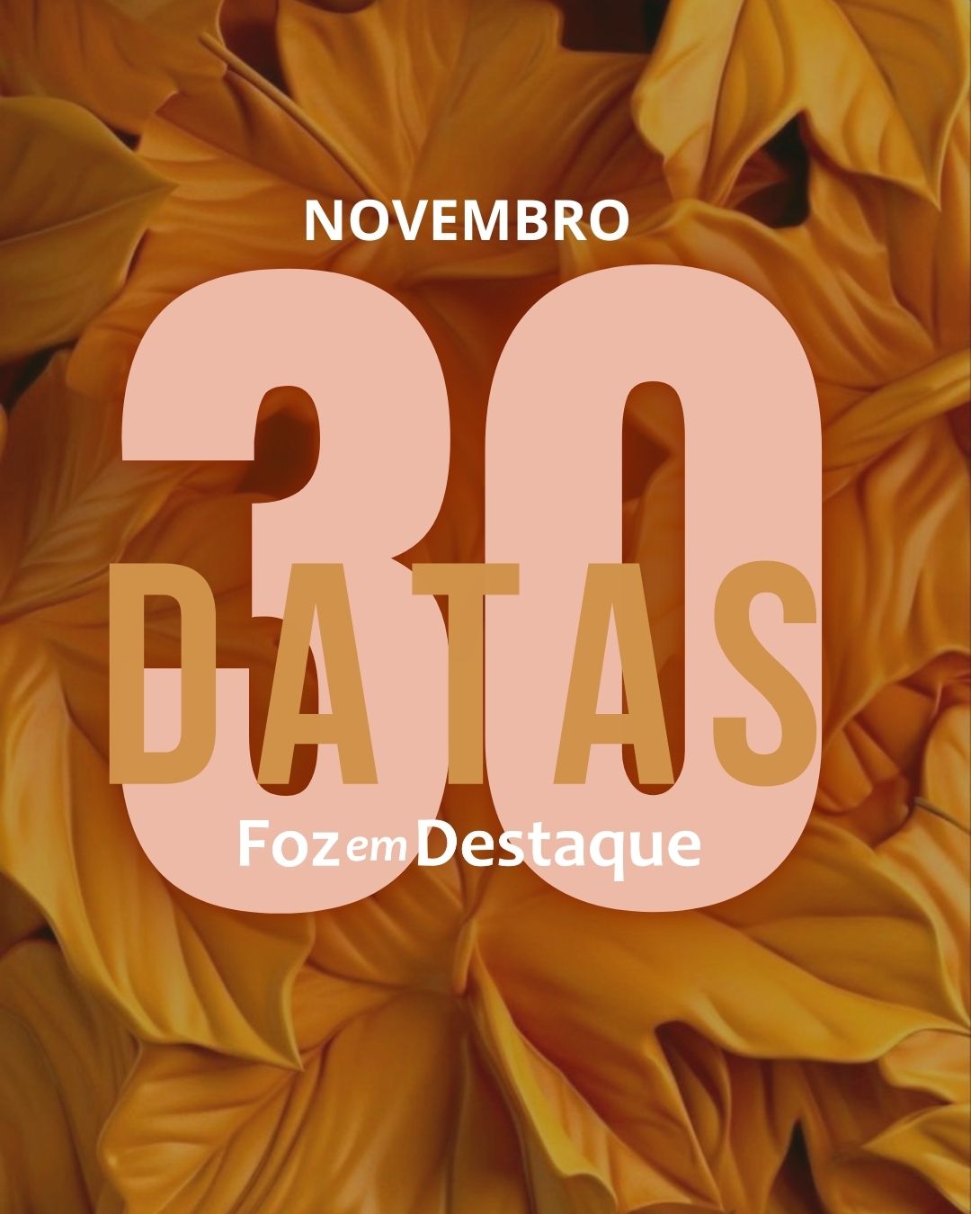 Datas 30 de novembro 2024 30 Nov