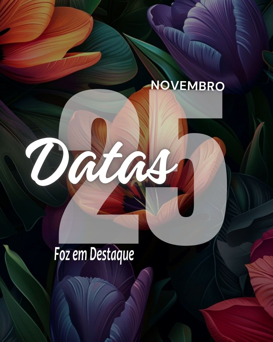 Datas 25 de novembro 2024 4