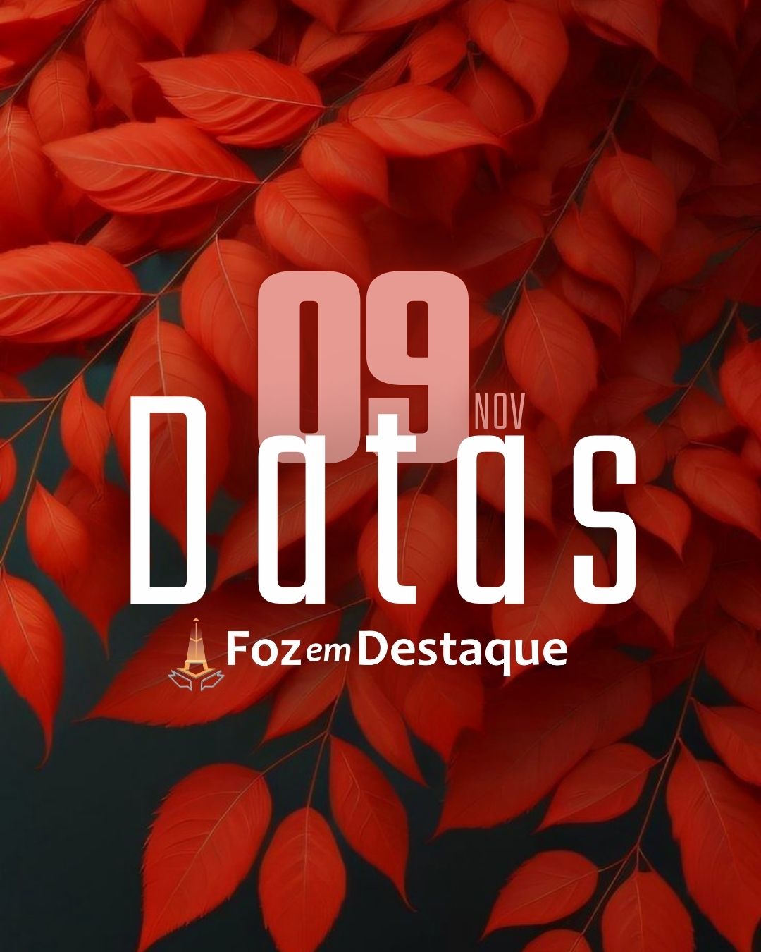 Datas 09 de novembro 2024 5