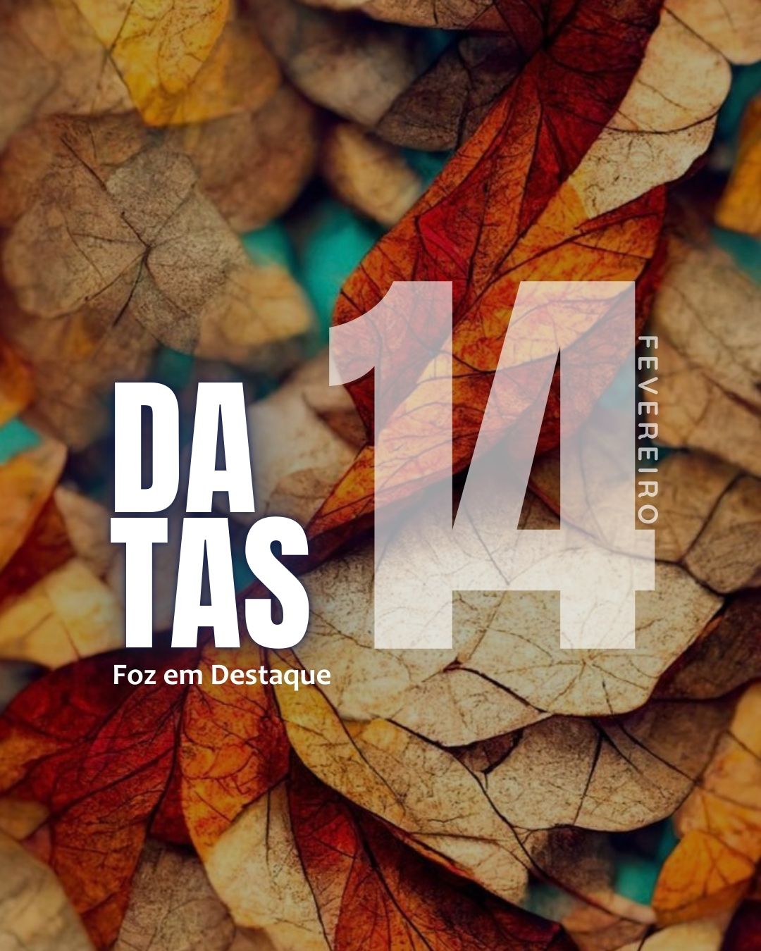 Datas 14 de Fevereiro 2025 4