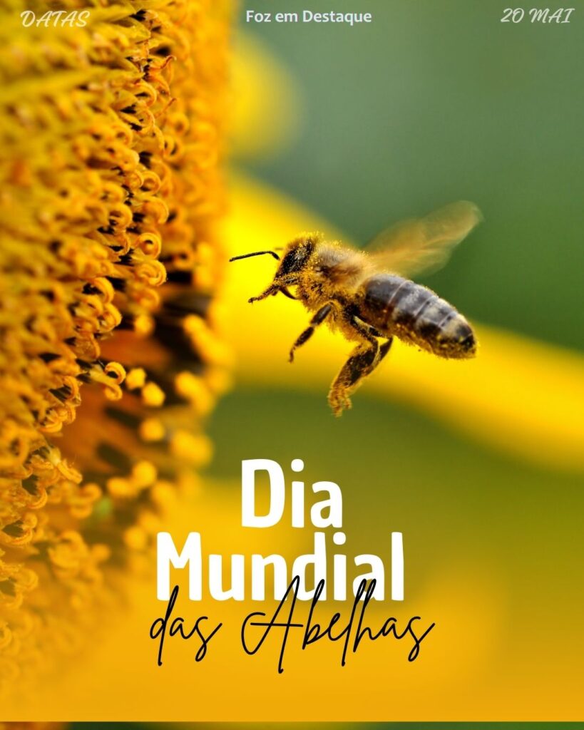 Dia Mundial das Abelhas
Datas 20 de maio 2025 Foz em Destaque "Sua Vida mais divertida".
