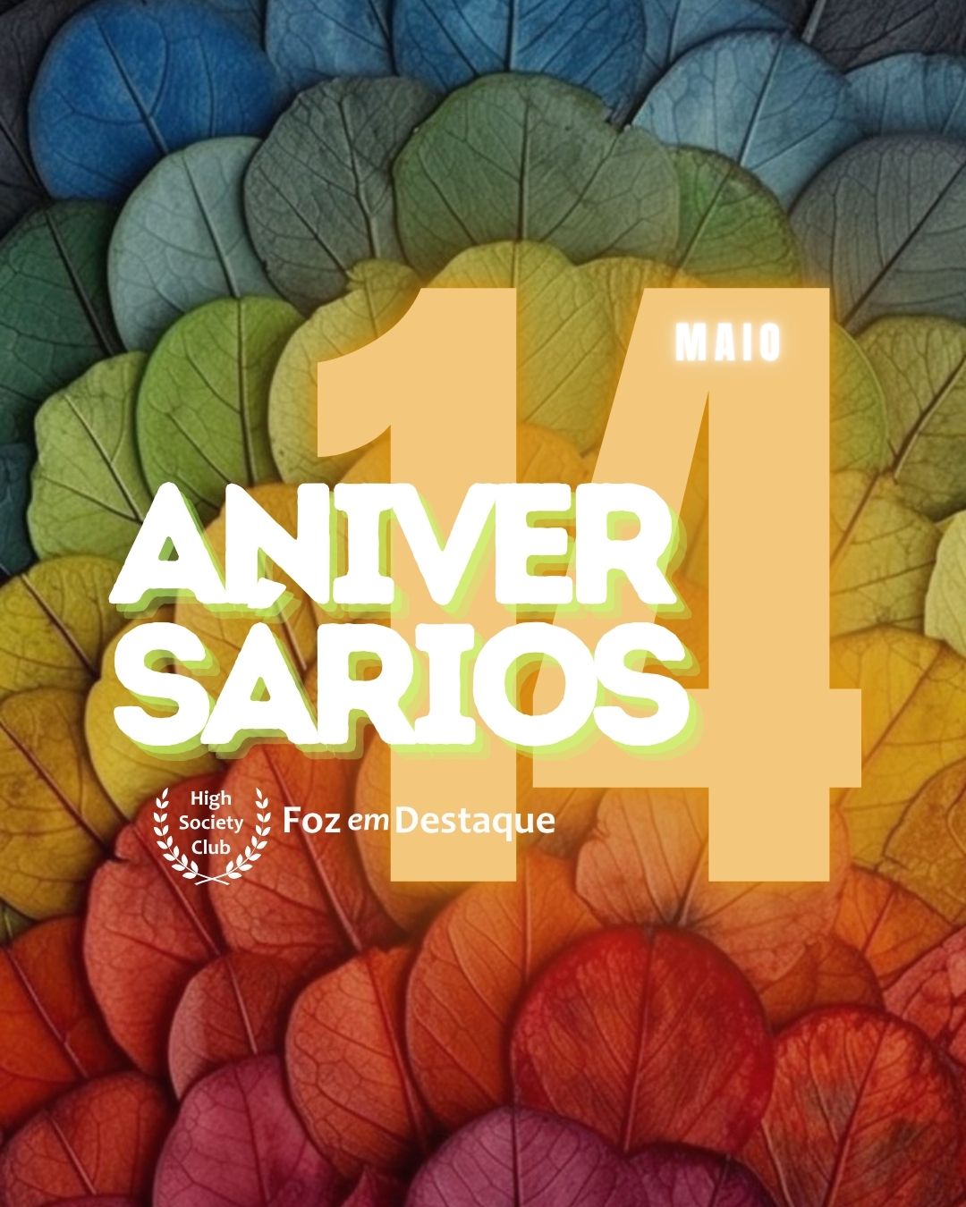 Aniversários 14 de maio 2025 6